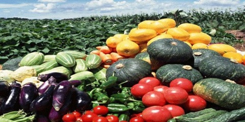 中国新奇“变色农产品” 你吃过几种？