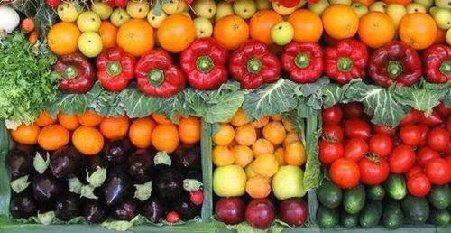 除关税外影响农产品出口的其他措施