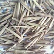 绿意新生，产业基石——北流富饶苗木专注供应优质毛竹资源