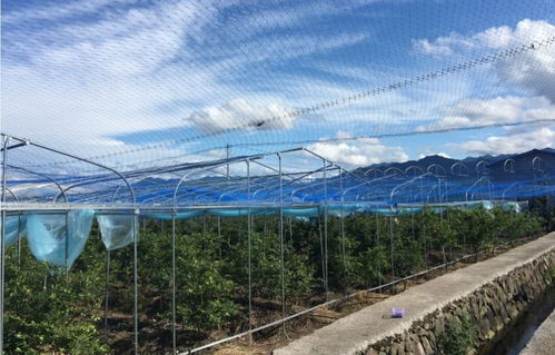 品味乡愁，乐享田园 精品乡村旅游线路中的特色农产品之旅