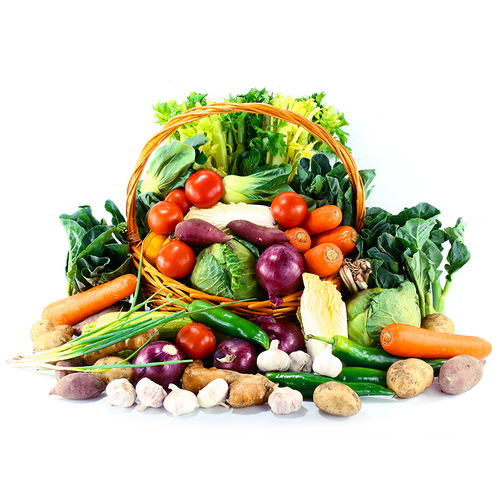 绿色生态农产品宅生活电商 引领健康消费新趋势