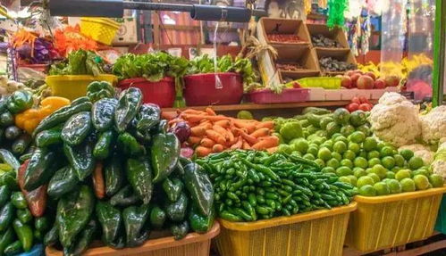 农业产业化背景下生鲜农产品流通模式对比分析