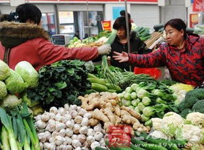 宝鸡市切实加强食用农产品监管 保障农产品质量安全